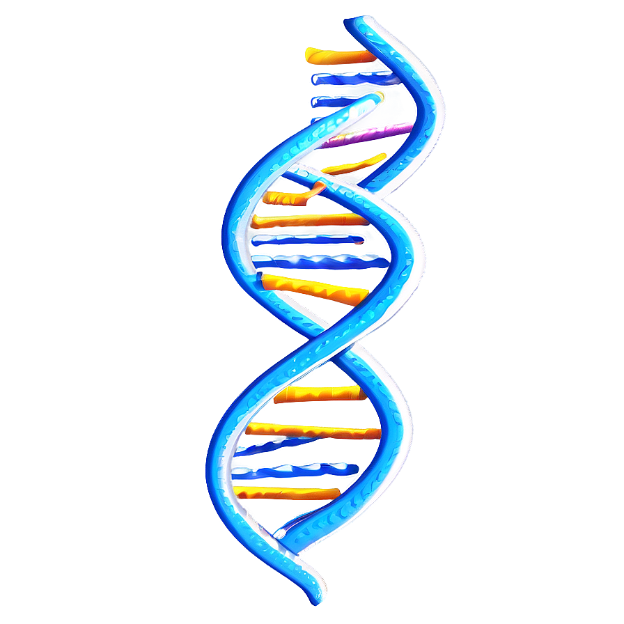 Dna Helix Model Png 63 PNG Image