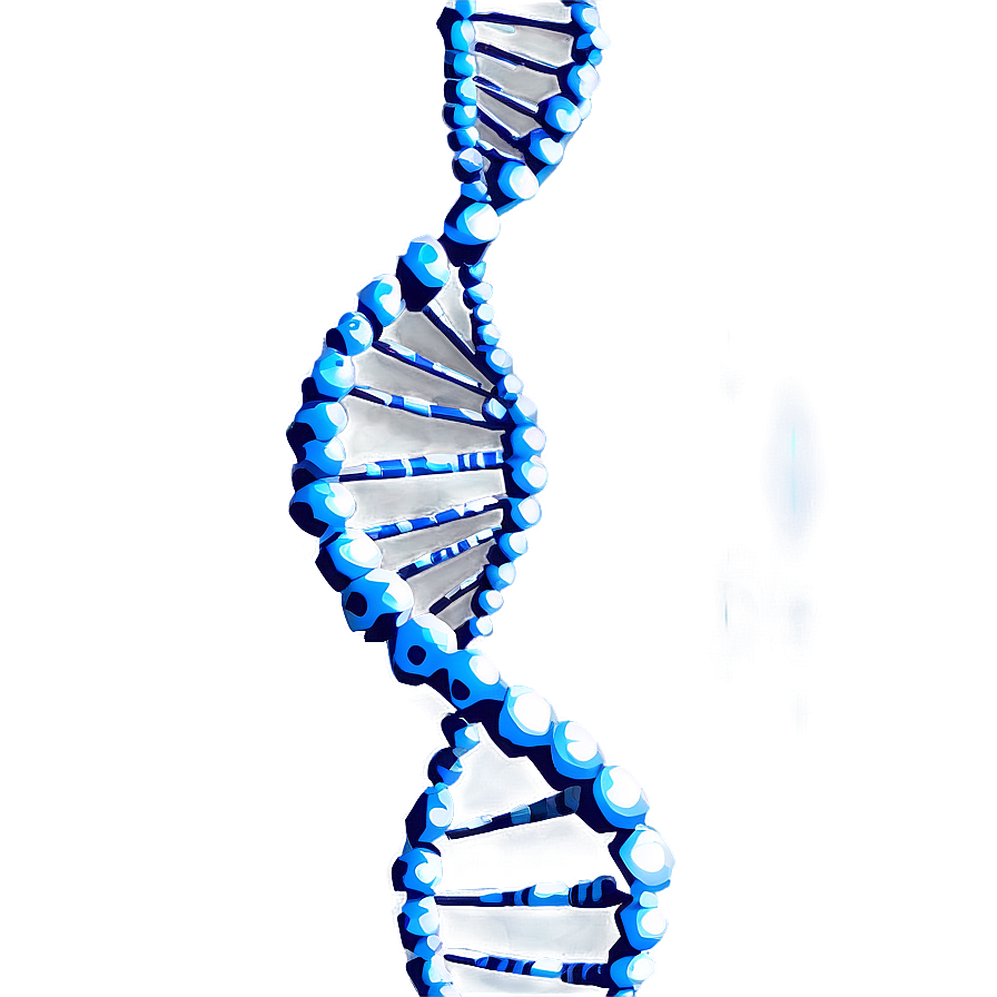 Dna Strand Break Png 5 PNG Image