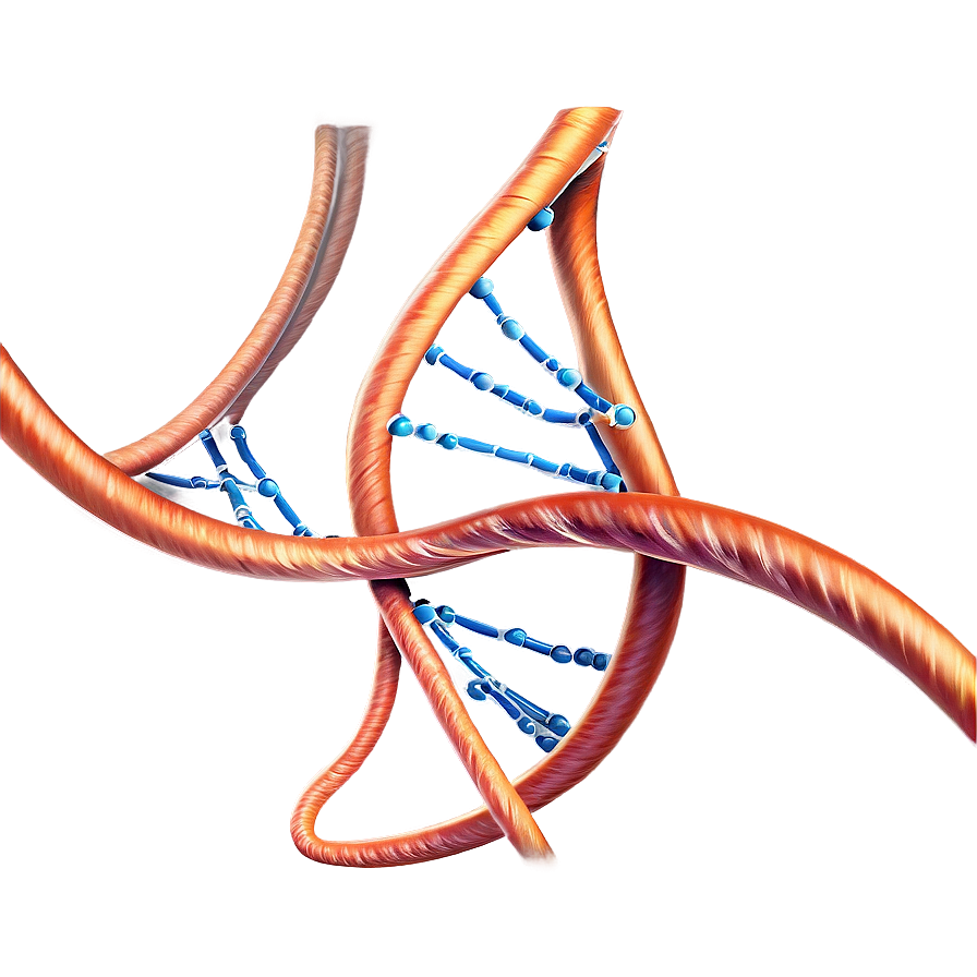 Dna Structure Science Png 05212024 PNG Image