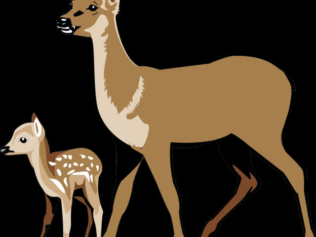 Doeand Fawn Illustration PNG Image