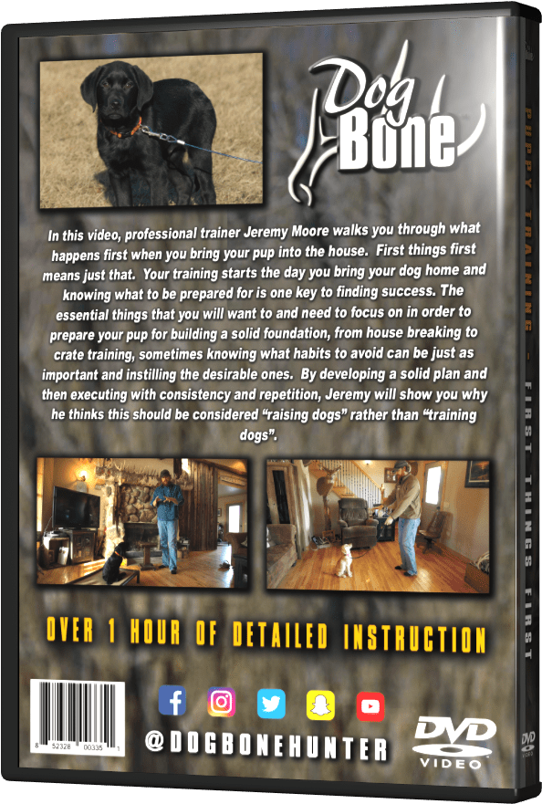 Dog Bone D V D Cover PNG Image