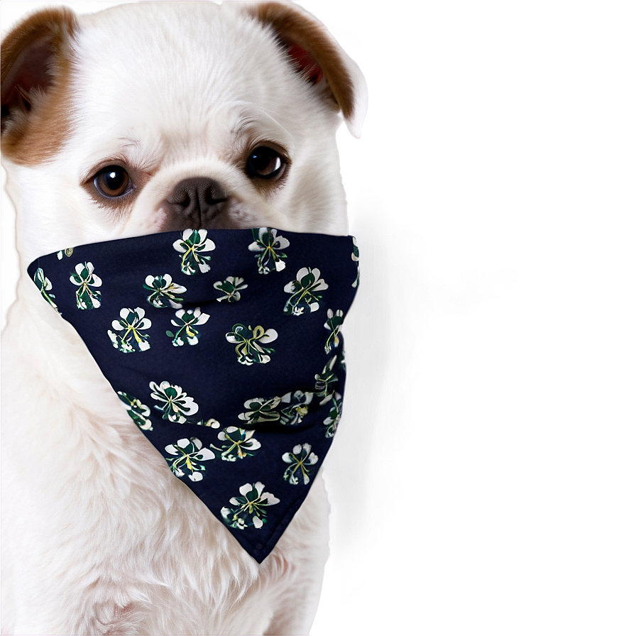 Dog Face With Bandana Png 06212024 PNG Image