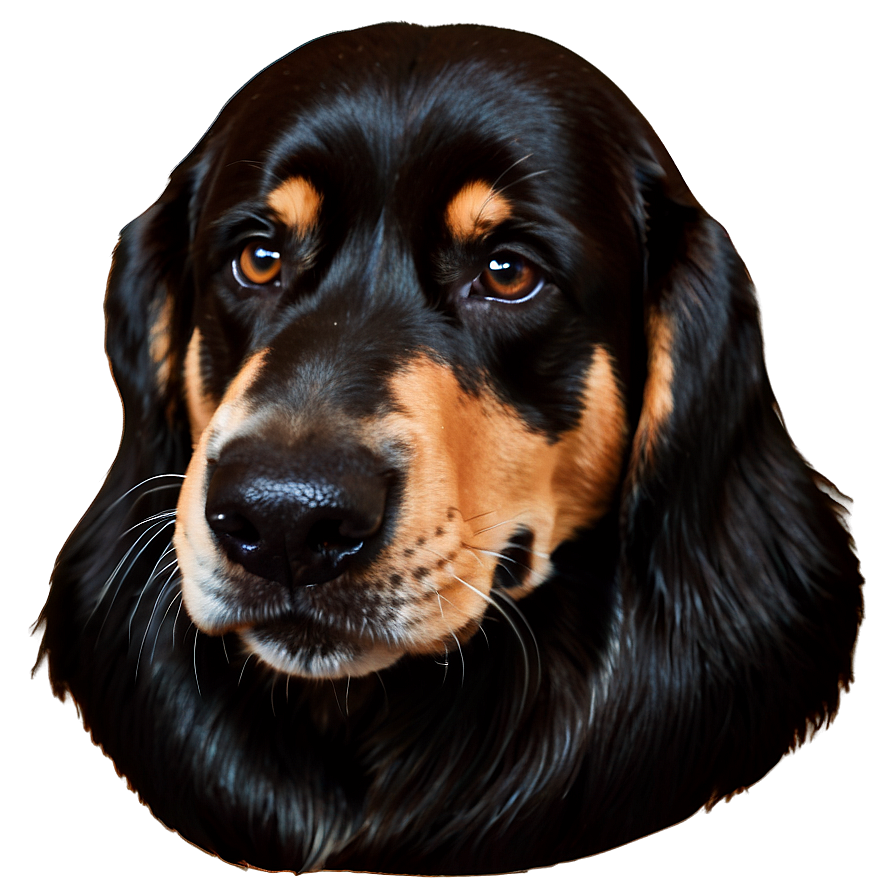 Dog Head Icon Png 55 PNG Image