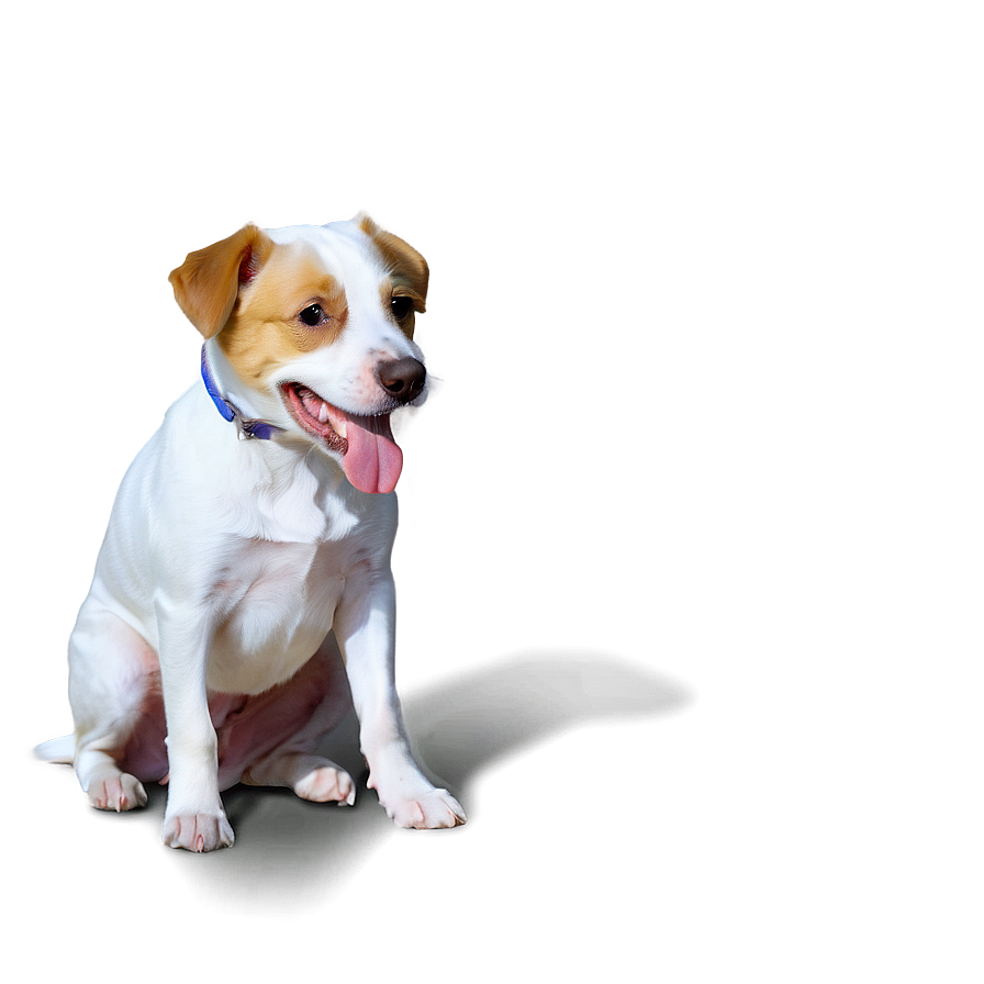 Dog In Costume Transparent Png Idr PNG Image