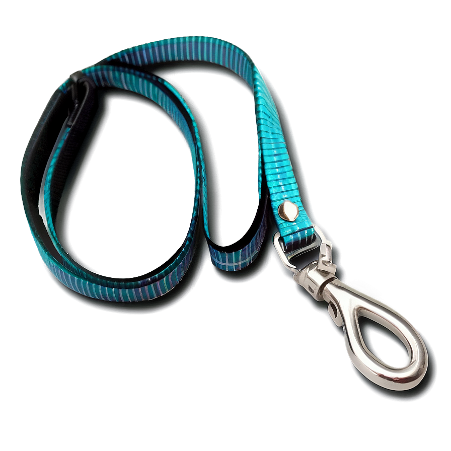 Dog Leash A PNG Image