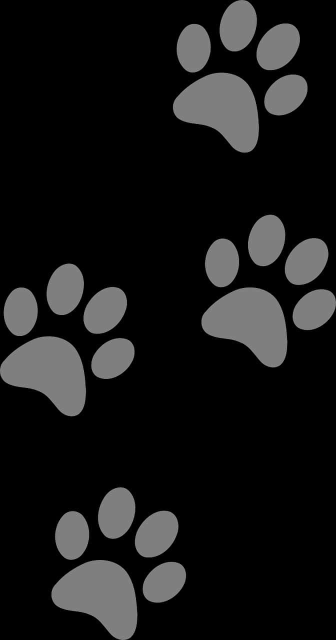 Dog Paw Prints Vector Illustration PNG Image