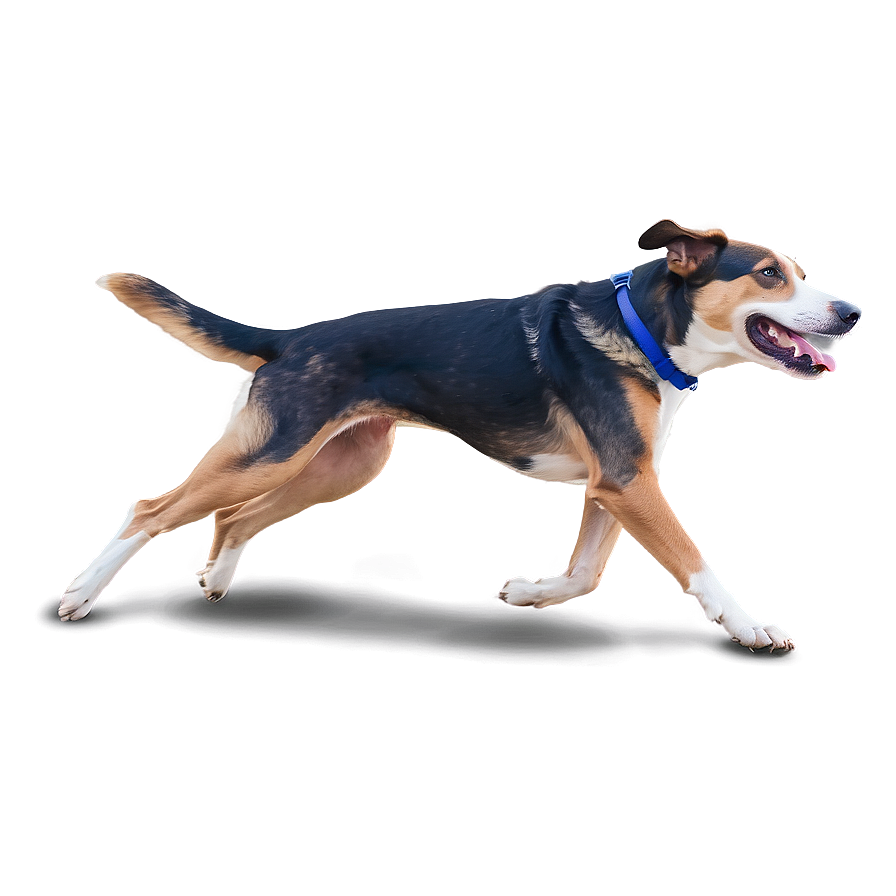 Dog Running Side View Png Fsp34 PNG Image