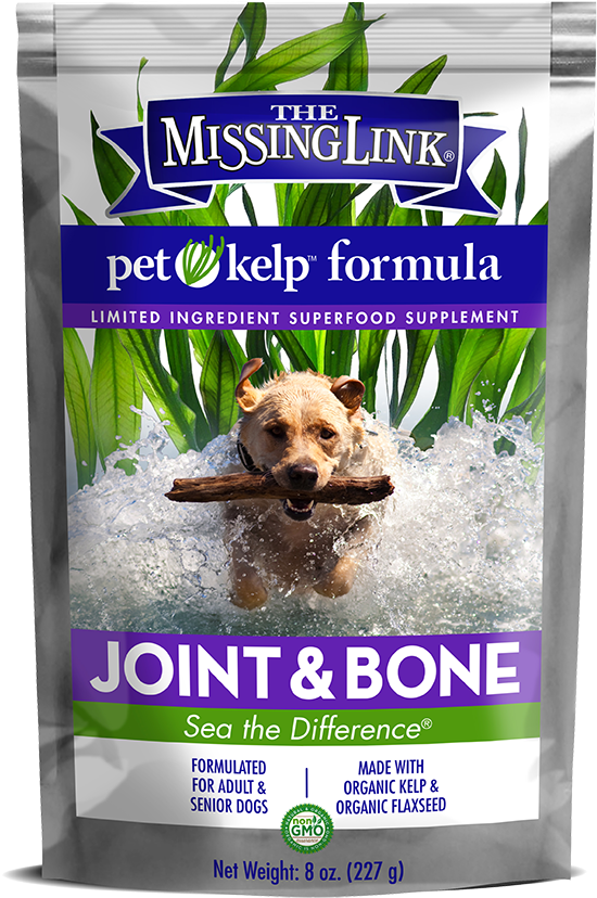 Dog Supplement Jointand Bone Health PNG Image