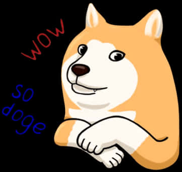 Doge Meme Wow So Doge PNG Image