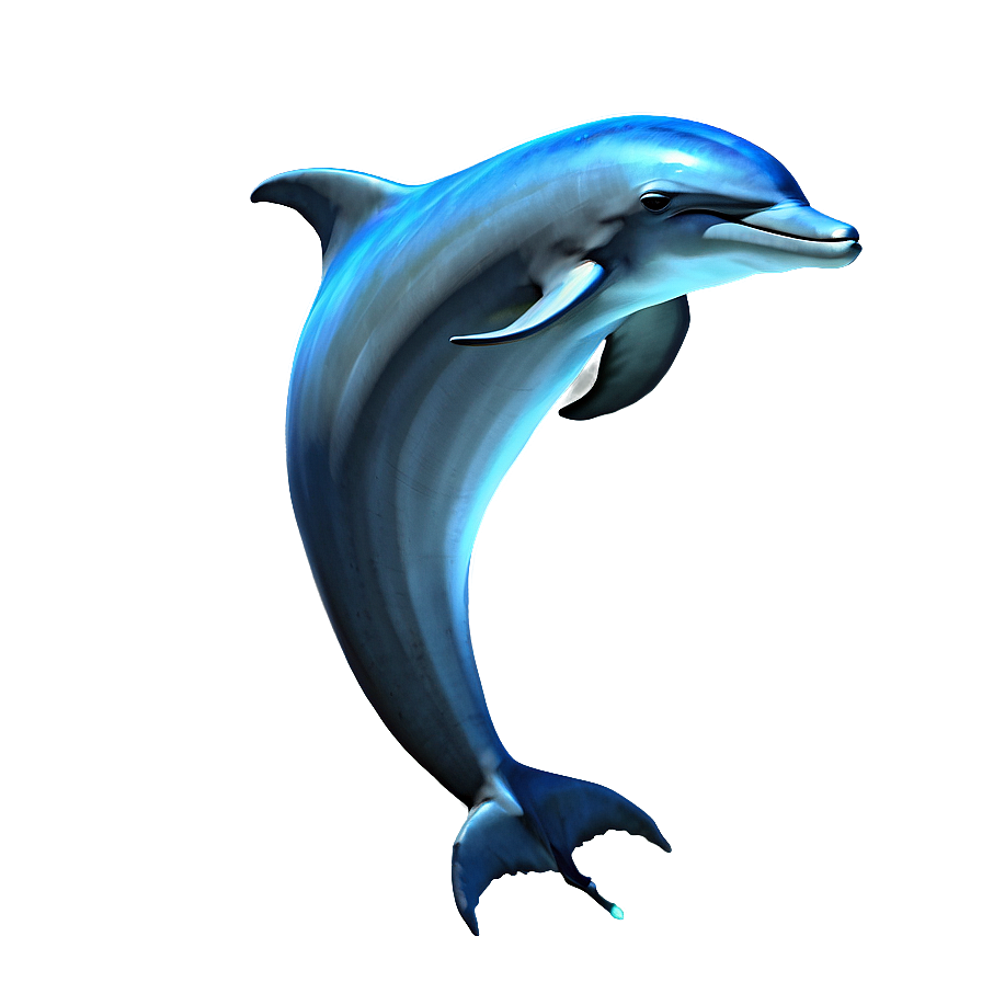 Dolphin And Moon Png 05062024 PNG Image