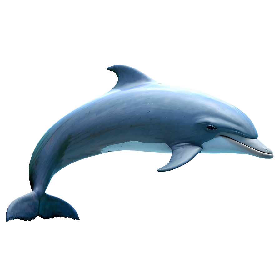 Dolphin And Moon Png Liy PNG Image