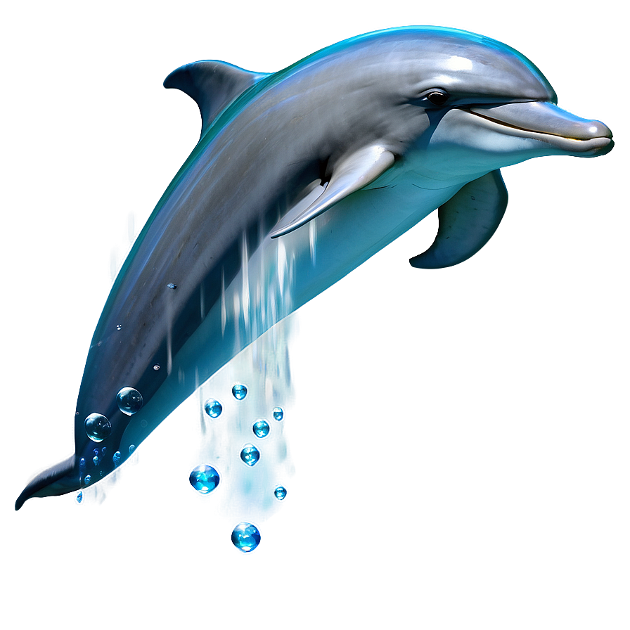 Dolphin Clipart Png Glr73 PNG Image