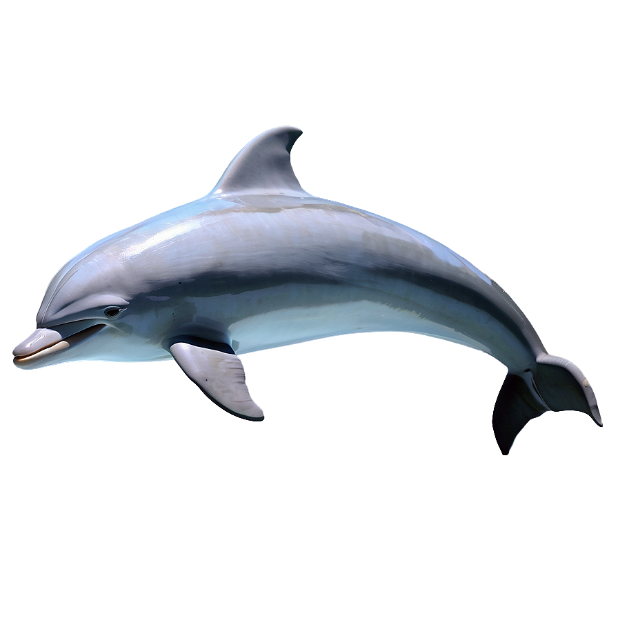 Dolphin Illustration Png Jef27 PNG Image