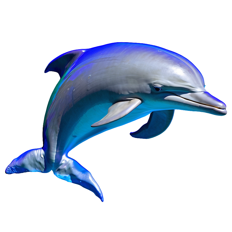 Dolphin In Water Png 05062024 PNG Image