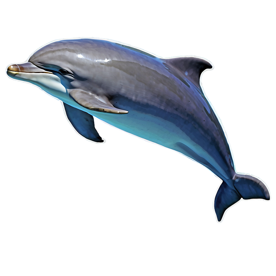 Dolphin Jump Png 96 PNG Image