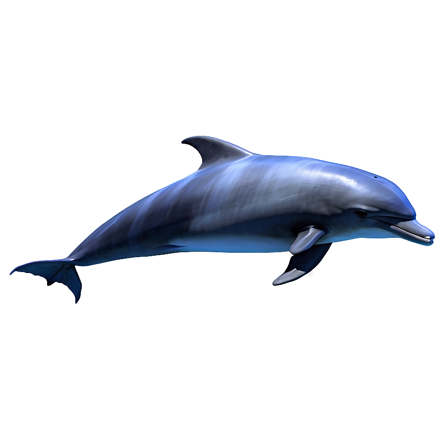 Dolphin Silhouette Png Mkk34 PNG Image