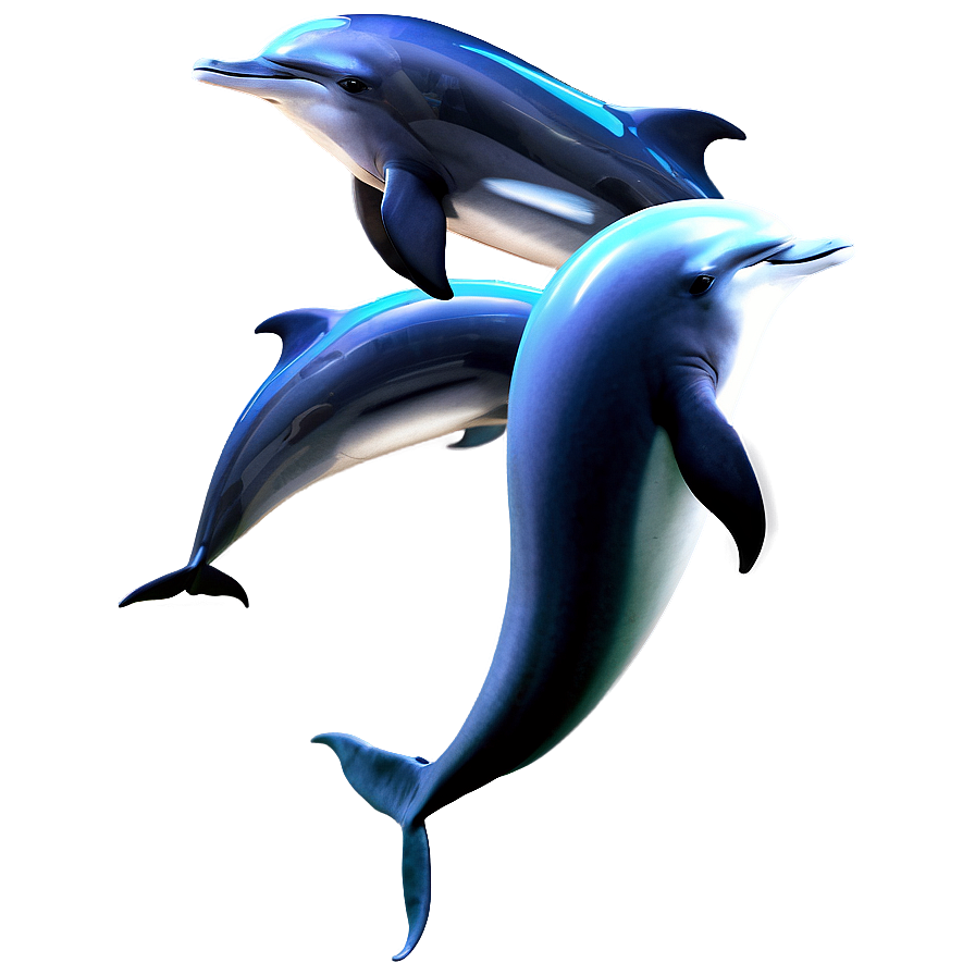 Dolphin Tail Png 05062024 PNG Image