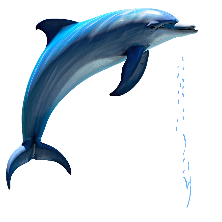 Dolphin Tail Png Pvd61 PNG Image