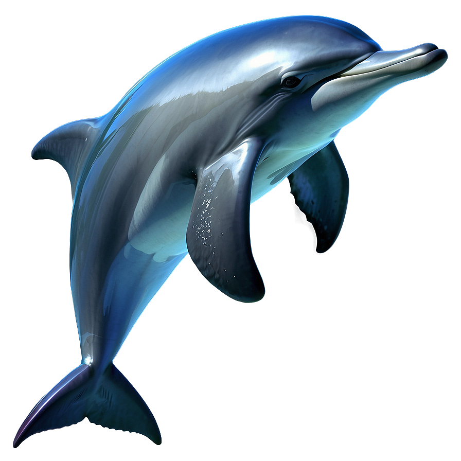 Dolphin Vector Png Mfy PNG Image