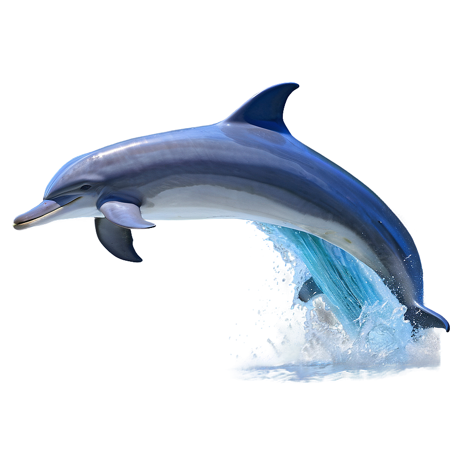 Dolphin Waves Png Wia PNG Image