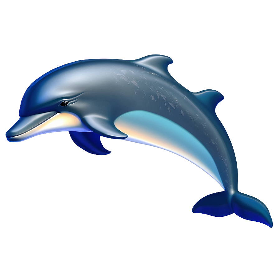 Dolphins A PNG Image