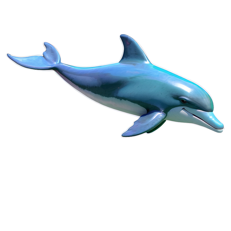 Dolphins B PNG Image