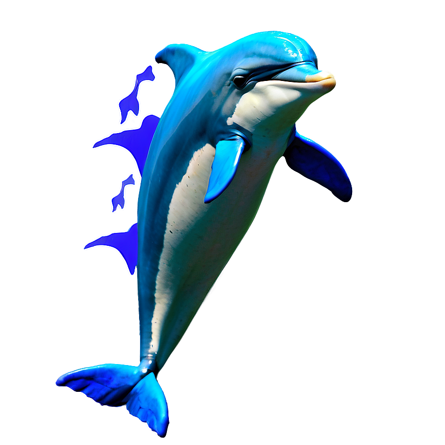 Dolphins Dance Png 12 PNG Image