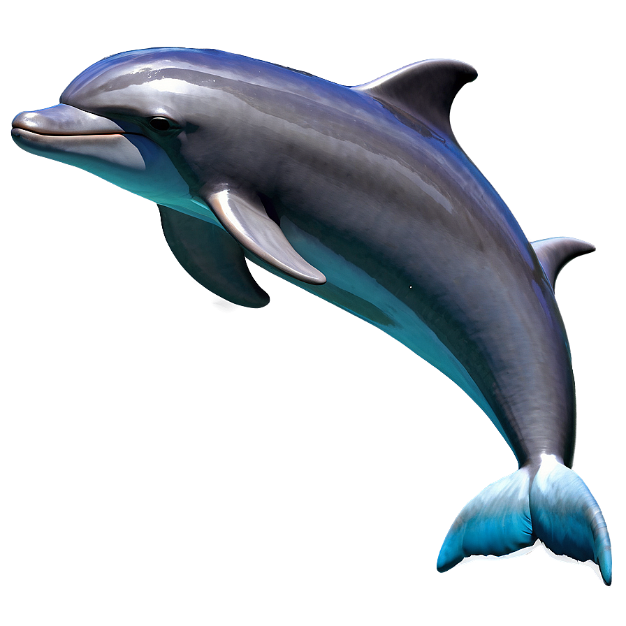 Dolphins Dream Png 06112024 PNG Image