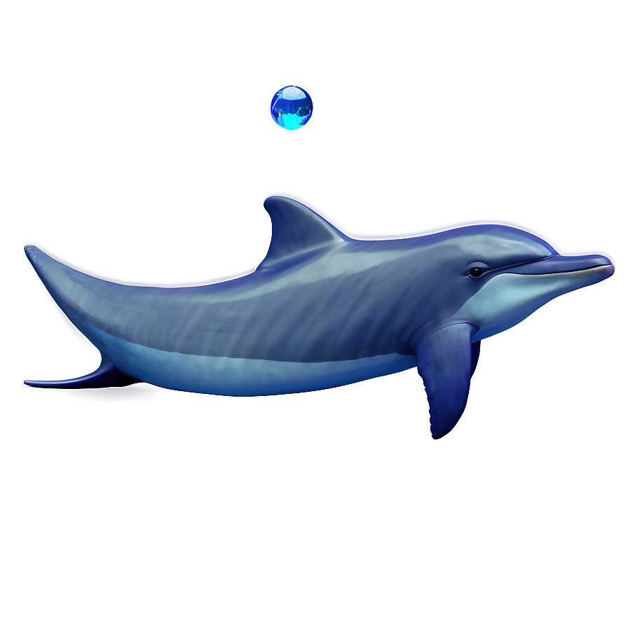 Dolphins Harmony Png Wob PNG Image