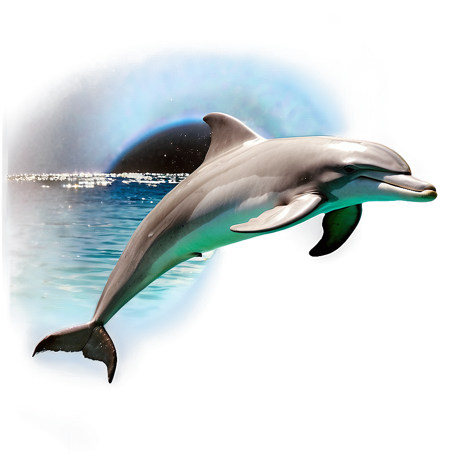 Dolphins In Moonlight Png 06112024 PNG Image