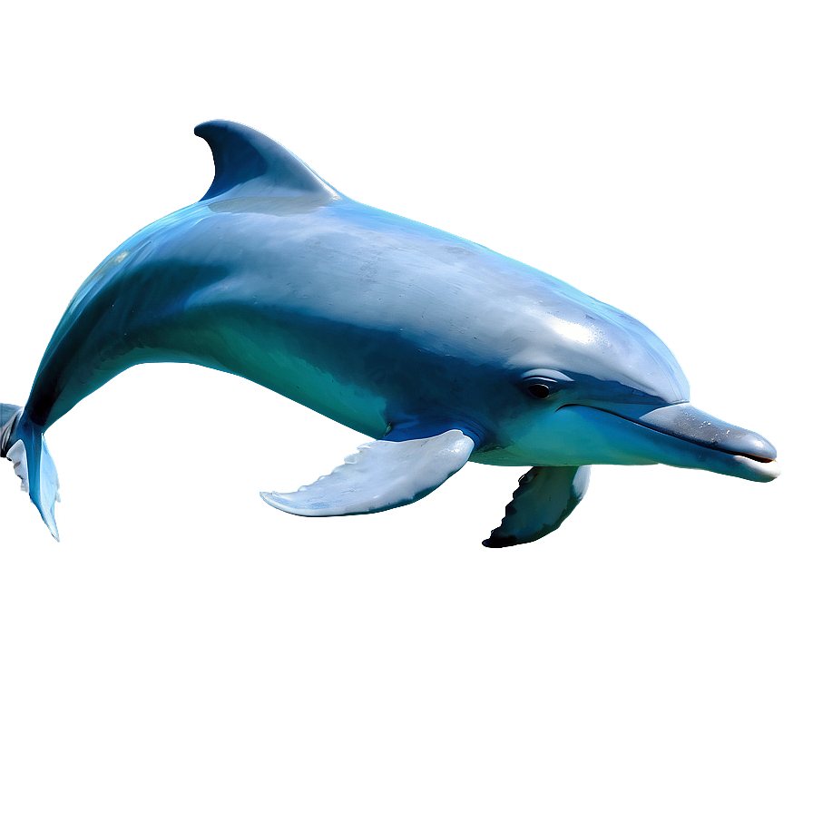 Dolphins In Sea Png Ios95 PNG Image