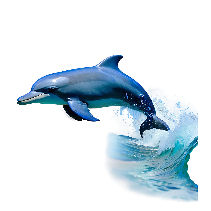 Dolphins In Wave Png Roh25 PNG Image