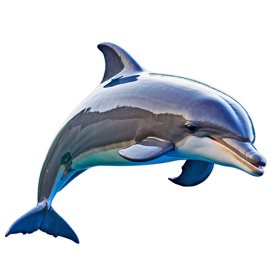 Dolphins Jumping Sunset Png 67 PNG Image