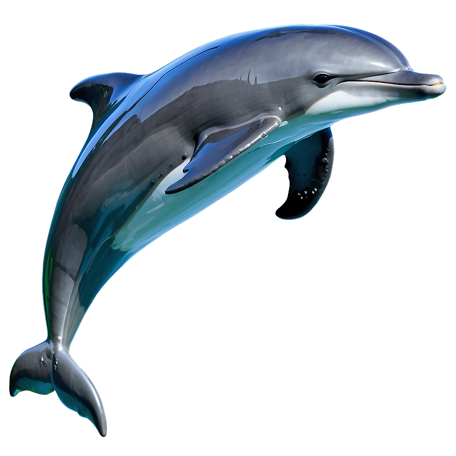 Dolphins Leaping Png Qaj PNG Image