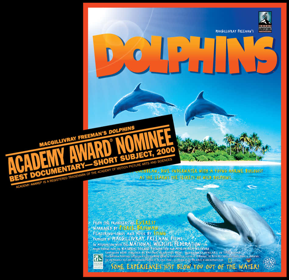 Dolphins Movie Poster2000 PNG Image