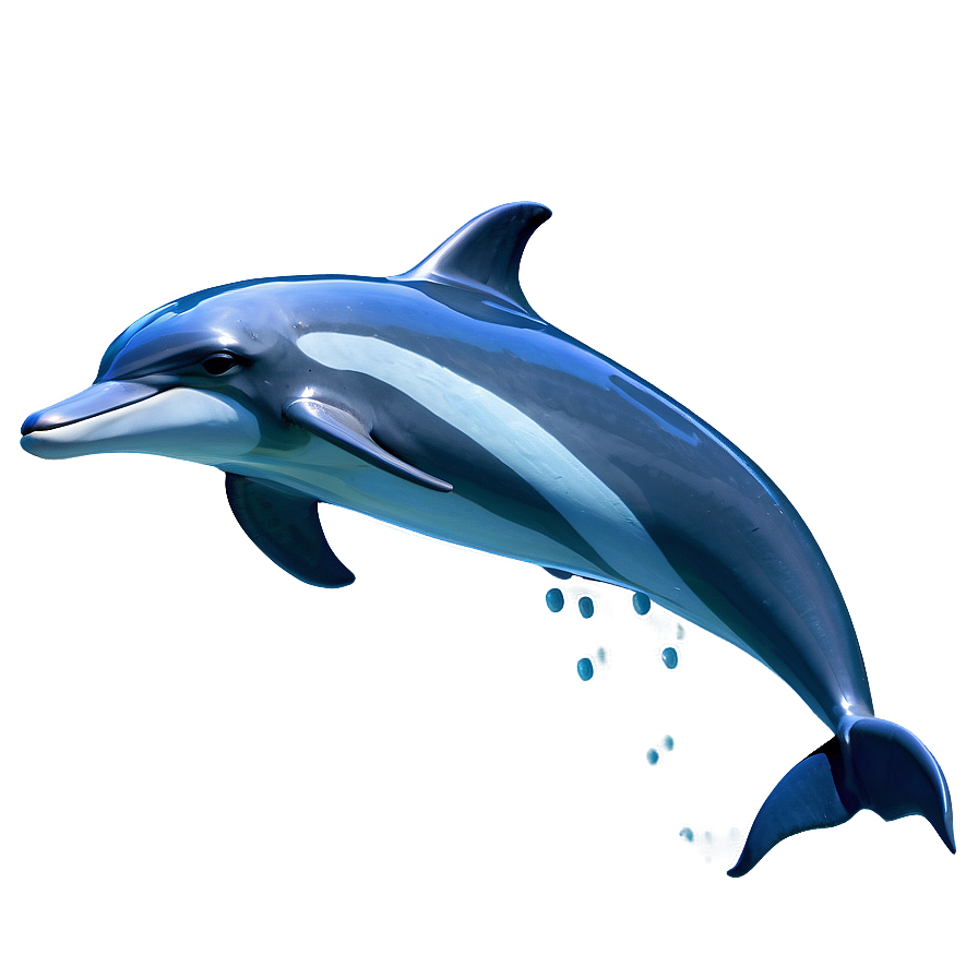 Dolphins Playing Ball Png 06112024 PNG Image