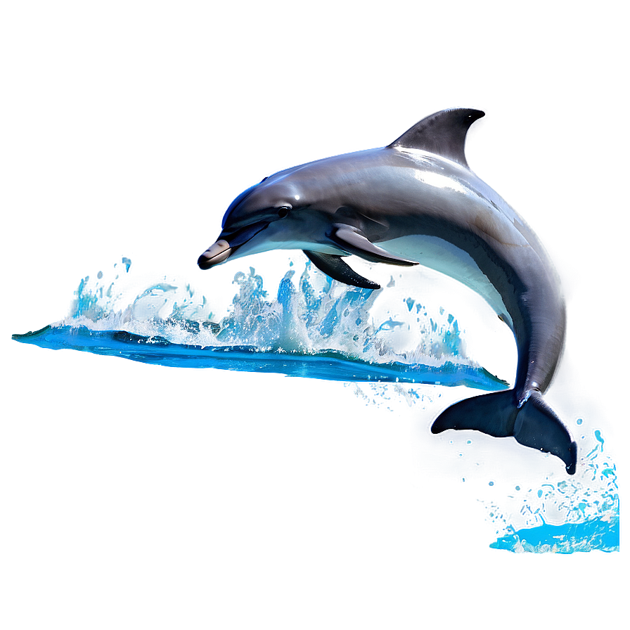 Dolphins Playing Ball Png Mtf PNG Image