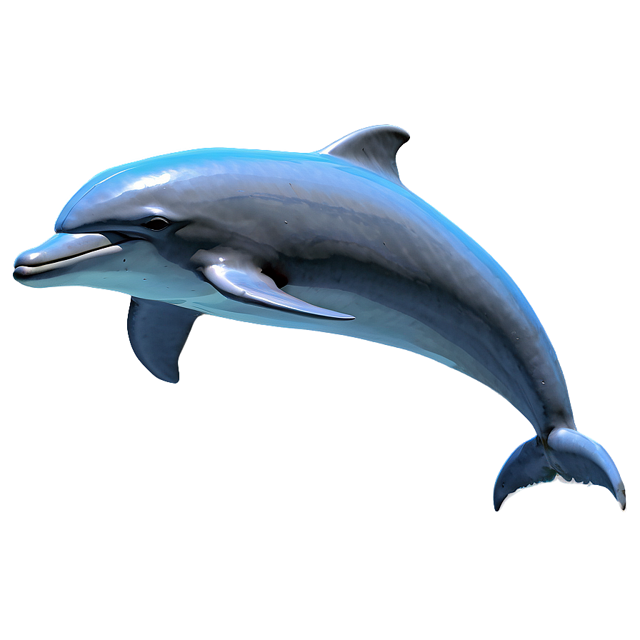 Dolphins Sketch Png Ncf58 PNG Image