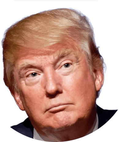 Donald Trump Portrait PNG Image