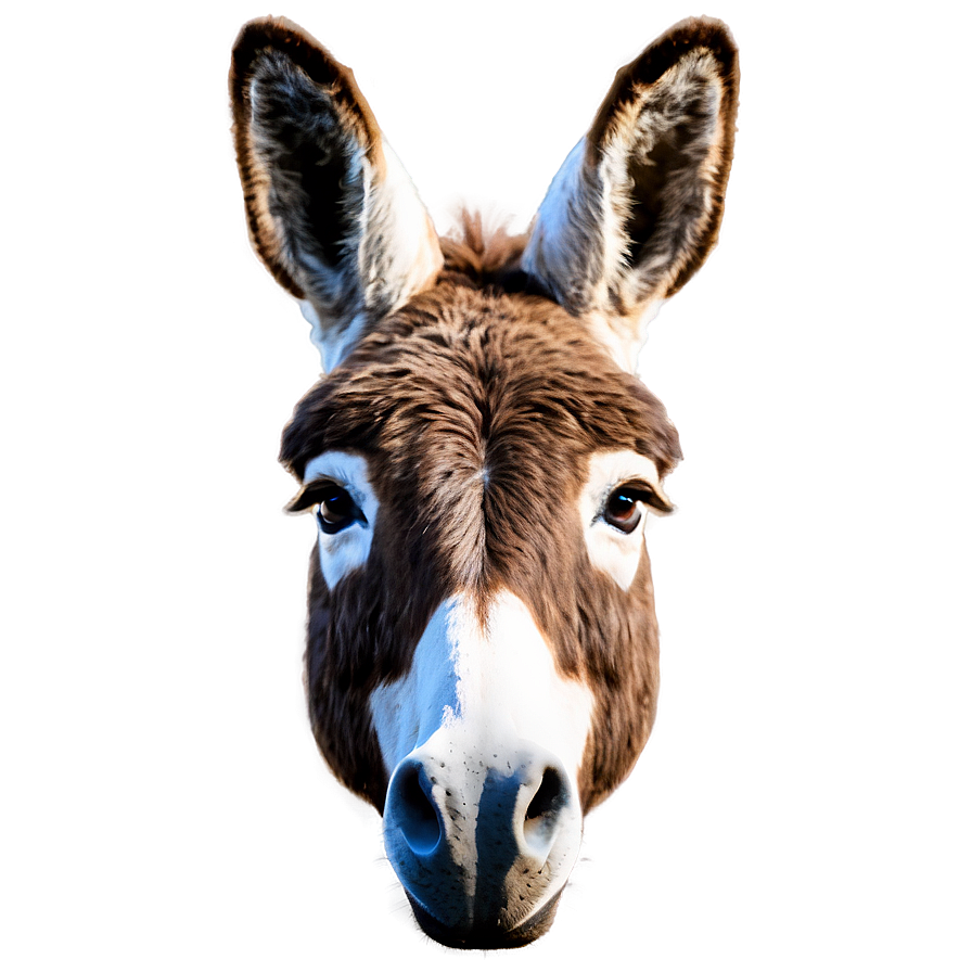 Donkey Head Png 81 PNG Image