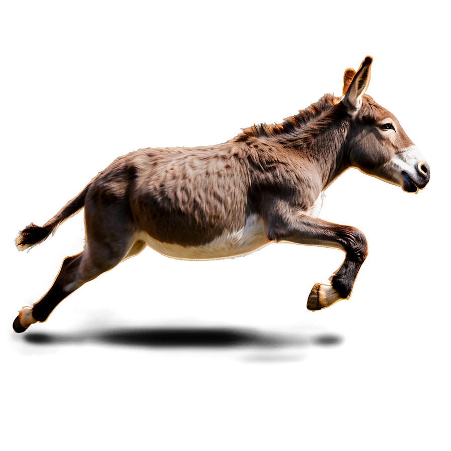 Donkey Kicking Png 54 PNG Image