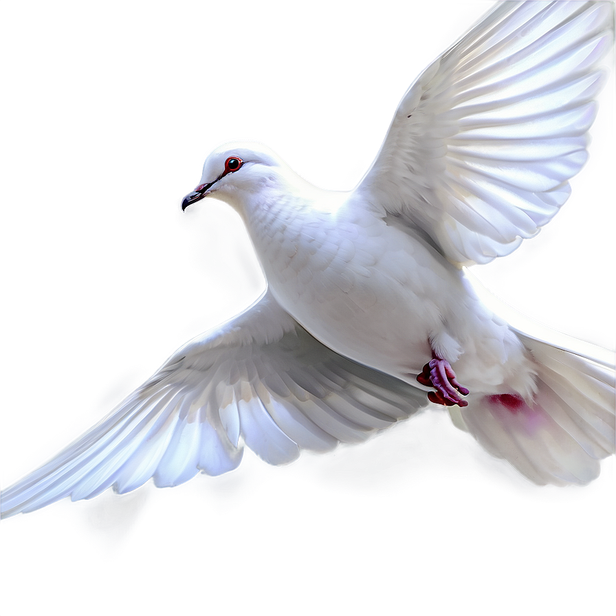 Dove Art Png 18 PNG Image