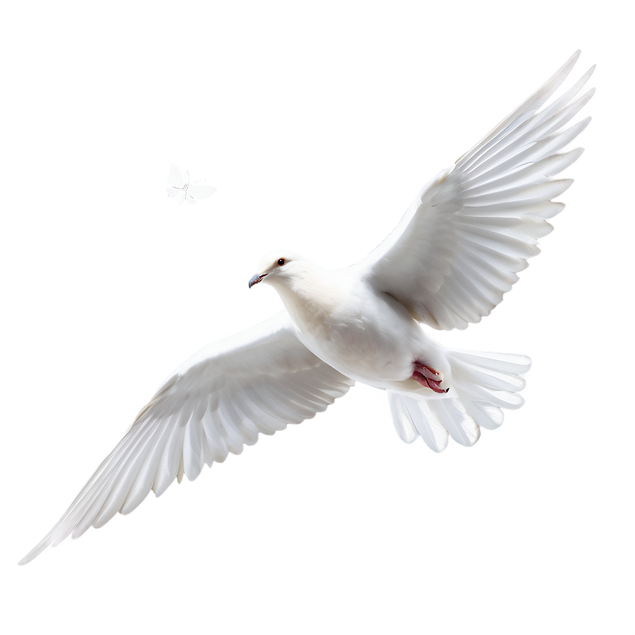 Dove Clipart Png Eyg PNG Image