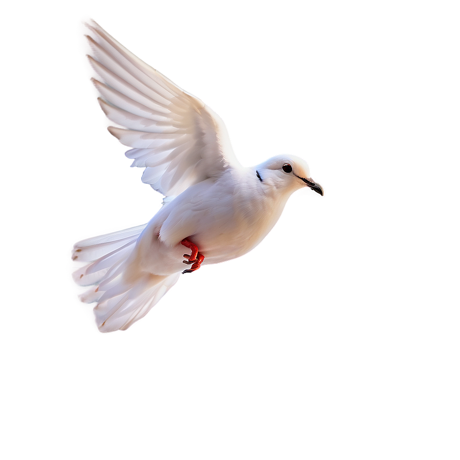 Dove Clipart Png Luu28 PNG Image