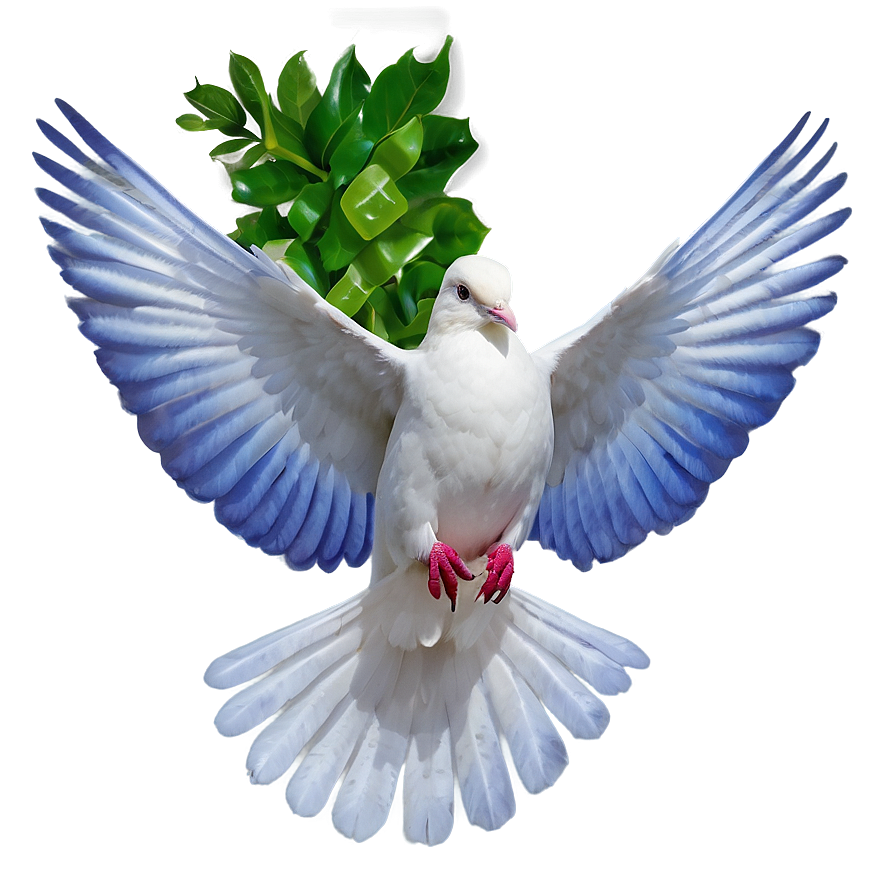 Dove D PNG Image