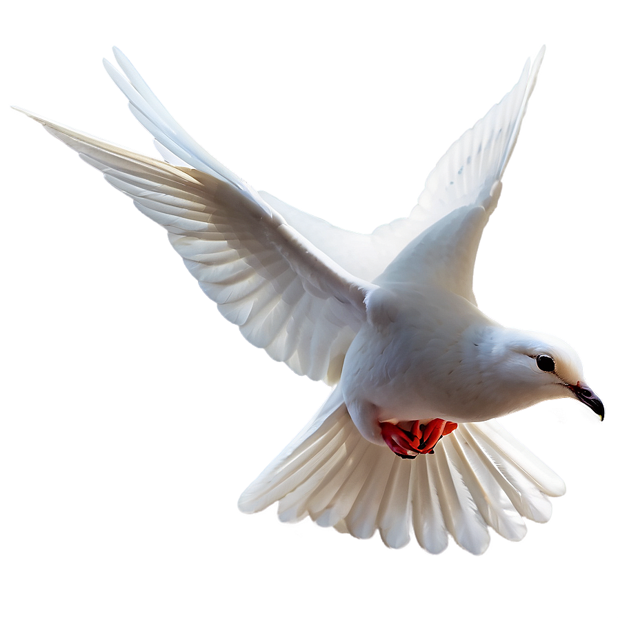 Dove Decoration Png Sxl94 PNG Image