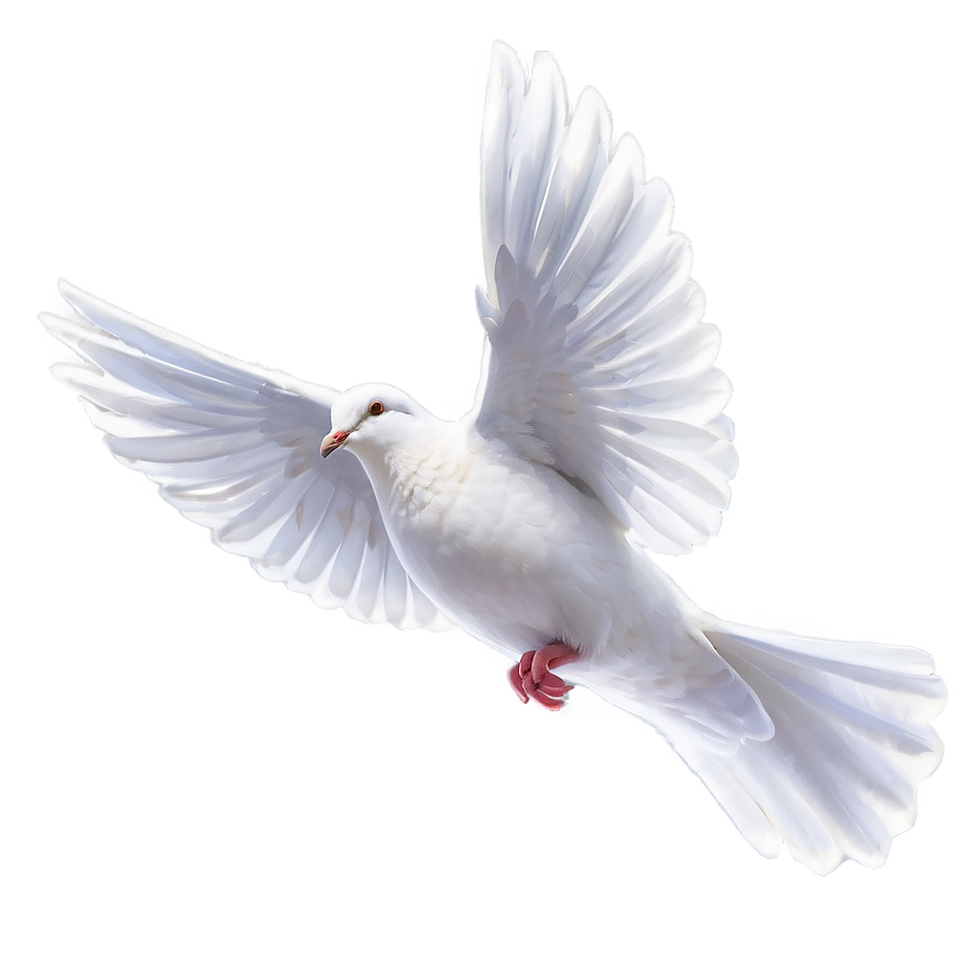 Dove Graphic Png Lno45 PNG Image