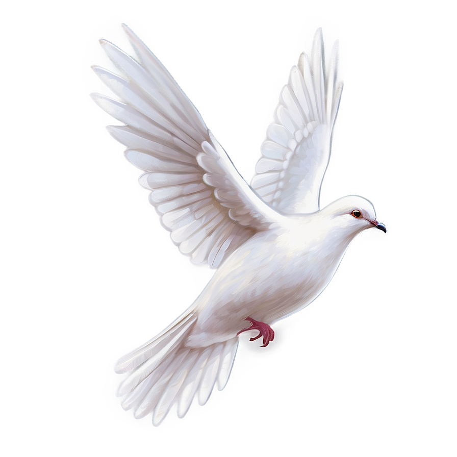 Dove Illustration Png Dhf PNG Image