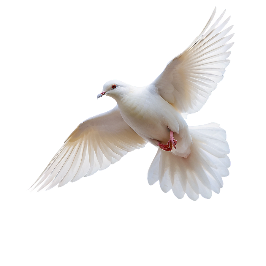 Dove In Sky Png Hde PNG Image