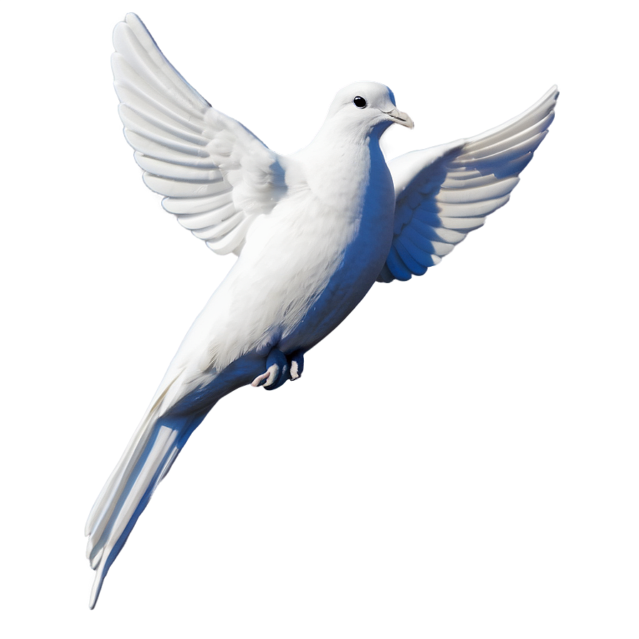 Dove Memorial Png Hrm17 PNG Image